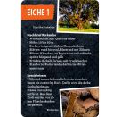 50 Bäume kennen & erleben - N