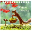 Gr. Spiralaufstellbuch: Einfa