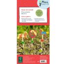 Holzponys zum Bemalen (Mini-K