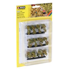 Plantagenbäume mit Äpfeln