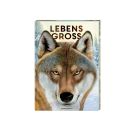 Lebensgroß - Tiere des Waldes