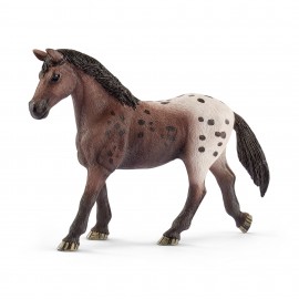 Schleich - Horse Club - Appaloosa Stute