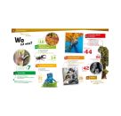 WAS IST WAS Band 134 Wald. Mehr als nur Bäume
