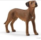 schleich® Farm World 13895 Rhodesian Ridgeback