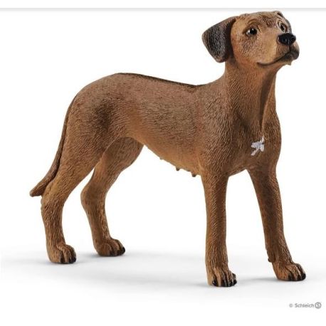 schleich® Farm World 13895 Rhodesian Ridgeback