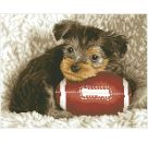 DIAMOND DOTZ® Squares Original Diamond Painting Hund Footy Pup 41 x 32 cm extra funkelnd 18.207 quadratische Diamant