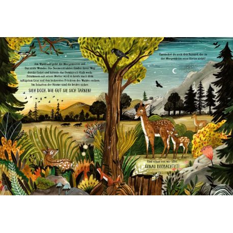 Wald der Wunder