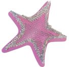 Freundeb.: Einhorn-Paradies (Wendepaillett.) - Meine Freunde