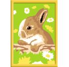 Ravensburger Spiel - Malen nach Zahlen Classic - Häschen Flecki
