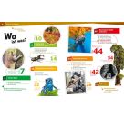 WAS IST WAS Band 134 Wald. Mehr als nur Bäume