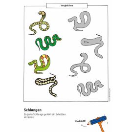 Vorschulblock - Konzentration und Wahrnehmung ab 5 Jahre. Ab 5 Jahre.