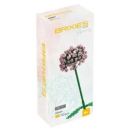 BRIXIES Plus Allium rosa