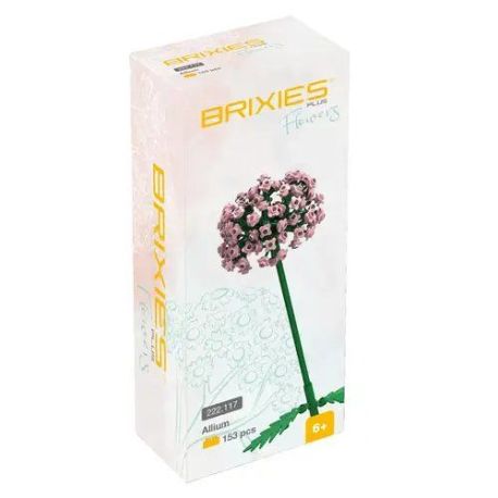 BRIXIES Plus Allium rosa