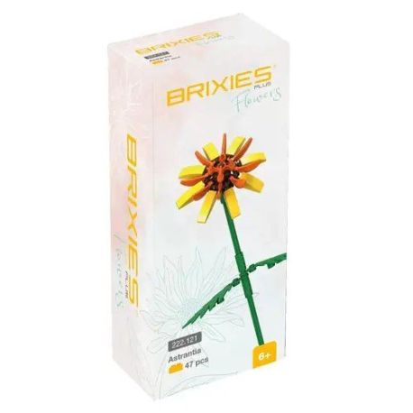 BRIXIES Plus Astrantia gelb
