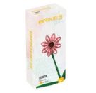 BRIXIES Plus Gerbera Lachs