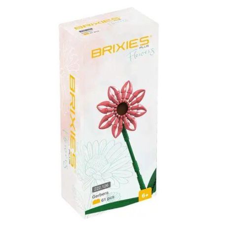 BRIXIES Plus Gerbera Lachs
