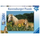 Ravensburger Puzzle - Pferdeglück, 200 Teile