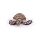 Papo 56005 Meeresschildkröte