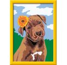 Ravensburger CreArt 28943 - Bester Freund - Malen nach Zahlen Hund für Kinder ab 7 Jahre