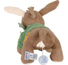 Sterntaler Spieluhr M Emmilius