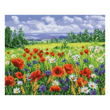 Malen nach Zahlen - Blumenwiese