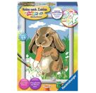 Ravensburger CreArt 28022 - Knuddelhäschen - Malen nach Zahlen Kaninchen für Kinder ab 7 Jahre