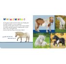 Hör mal rein, wer kann das sein? - Kuschelige Tiere