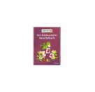 LERNSTERN. Mein drachenstarkes Vorschulbuch