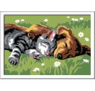 Ravensburger CreArt 28015 - Tiefer Schlaf - Malen nach Zahlen Hund und Katze für Kinder ab 7 Jahre