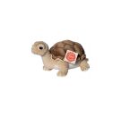 Teddy Hermann Schildkröte, ca. 20cm