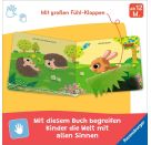 Wo bist du, kleiner Hase?