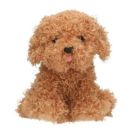 TOPModel Plüsch Hund braun 16 cm