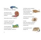Bücherhelden 1.Kl. TKKG Junior Verschwundene Dinos