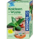 Kakteen-Wüste