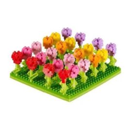 200.142 BRIXIES Tulpenfeld