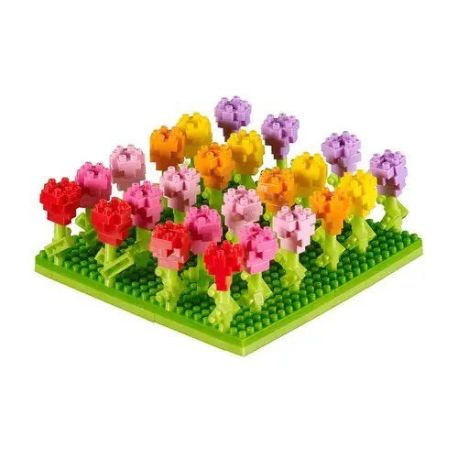 200.142 BRIXIES Tulpenfeld