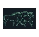 Schmuck Spieldose Pferd   Camargue  ©