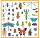 Sticker: Mikrokosmos