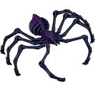 Zombie-Spinne - Wild+Cool, so