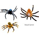 Glibberiges Spinnen-Ei - Wild