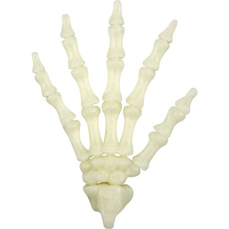 Fluoreszierende Skelett-Hand