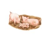 Ravensburger 6332 Puzzle Auf dem großen Bauernhof 30-48 Teile