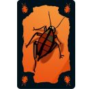 Schmidt Spiele DREI MAGIER SPIELE Kakerlakenpoker Royal