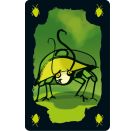 Schmidt Spiele DREI MAGIER SPIELE Kakerlakenpoker Royal