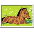 Ravensburger Spiel - Malen nach Zahlen Classic - Kleines Fohlen