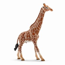 schleich® Wild Life - 14749 Giraffenbulle, ab 3 Jahre