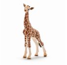schleich® Wild Life - 14751 Giraffenbaby, ab 3 Jahre