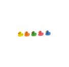 Badetiere Racing Ducks 6cm