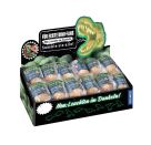 Nachtleuchtende Dinos (24 Ex. im Display)