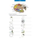 Quer durch die 3. Klasse, Englisch - Übungsblock. Ab 8 Jahre., sortiert